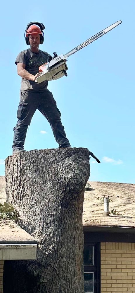 Tree Removal for Lamb Brothers Land Clearing in Murray, KY