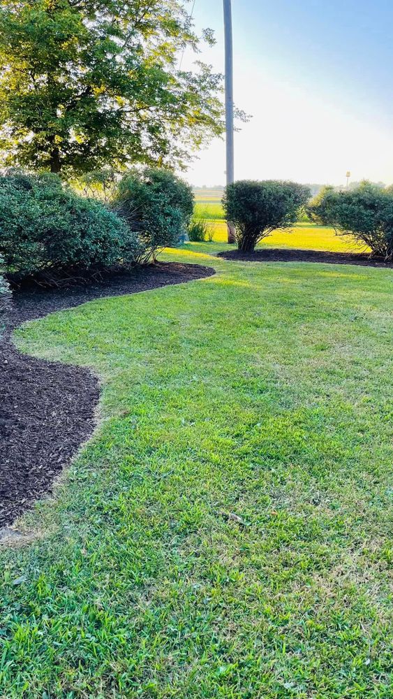 Our professional shrub trimming service ensures your landscape stays healthy and looking its best. Trust our experienced team to expertly shape and maintain your shrubs for a beautiful outdoor space. for Manny's Cleaning,Lawn Care & Snow Removal Services in Champaign, IL