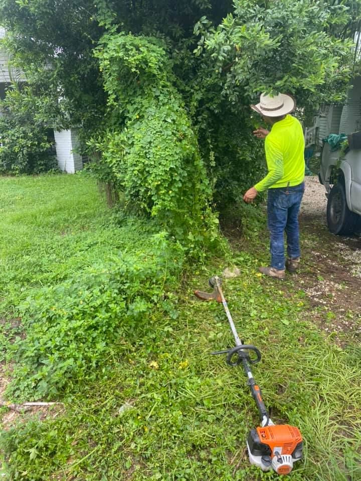 Landscaping for Nunez Concrete & Landscape LLC in Tampa Heights, FL