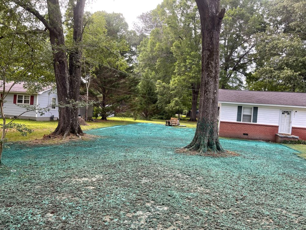 HYDROSEED for CreekSide HydroSeeding & EarthWorks in Calhoun, GA