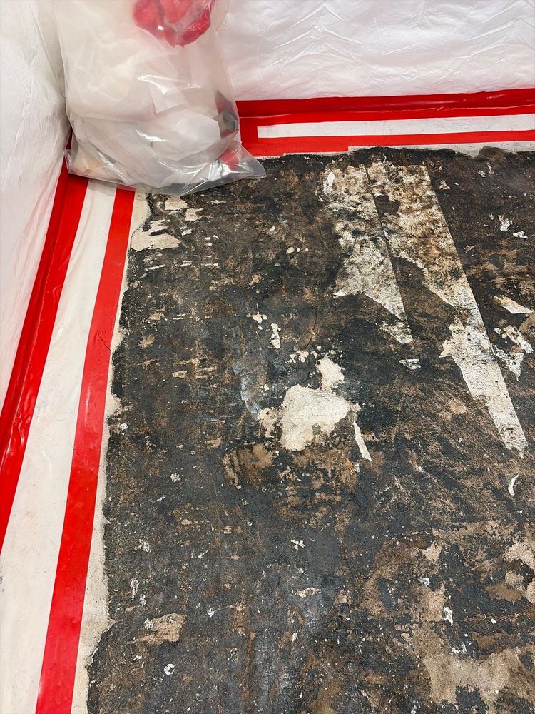 All Photos for ACM Environmental in Salt Lake City, UT