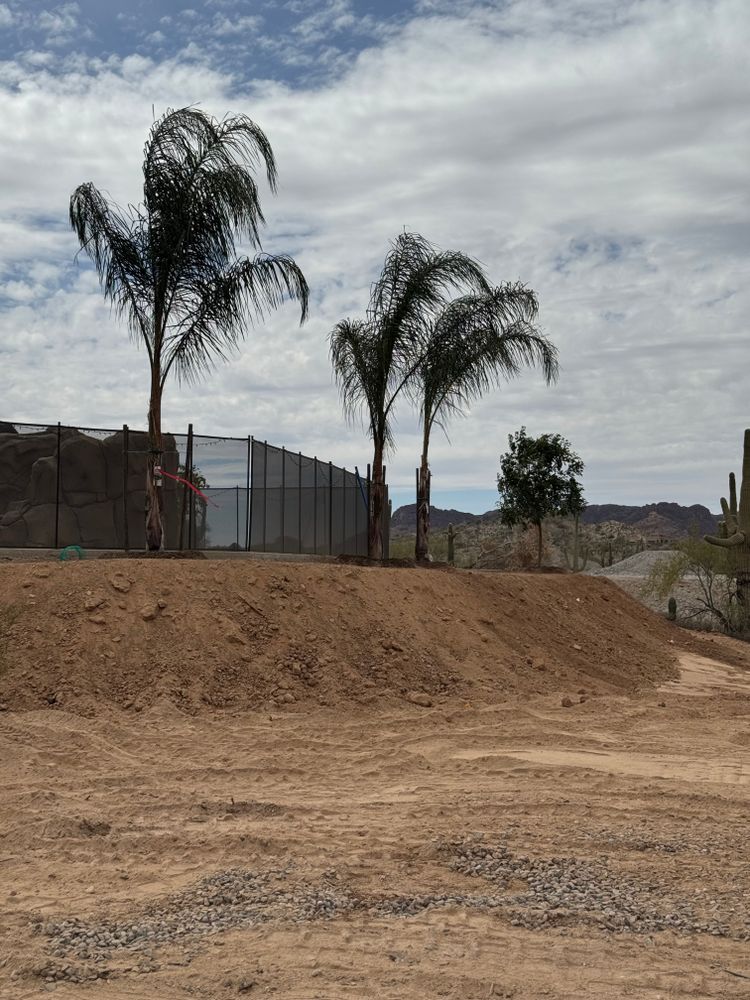 All Photos for Rocking S Hauling in Phoenix, AZ