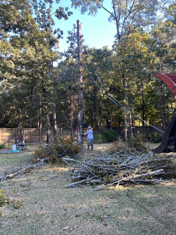 All Photos for JC Land and Tree Service in Kilgore, TX