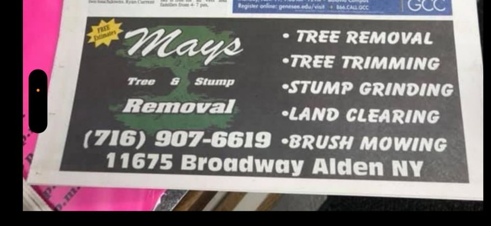 All Photos for Mays Tree and Stump Removal in Alden, NY