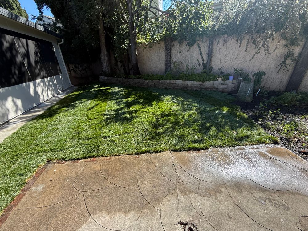 All Photos for CBA Landscaping in Hayward, CA