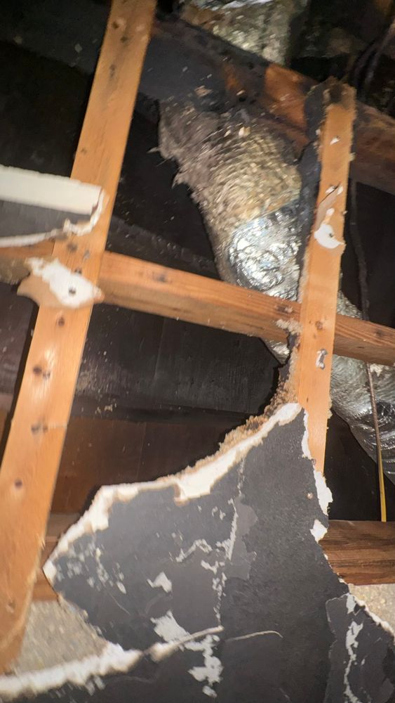 All Photos for Surplus Public Adjusters in Miami-Dade County, FL