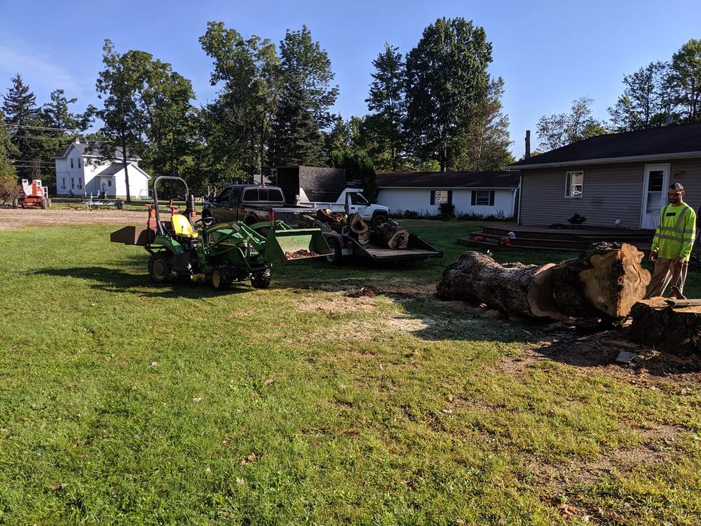 Tree Removal for Mad Tree Service in Cochranton, PA