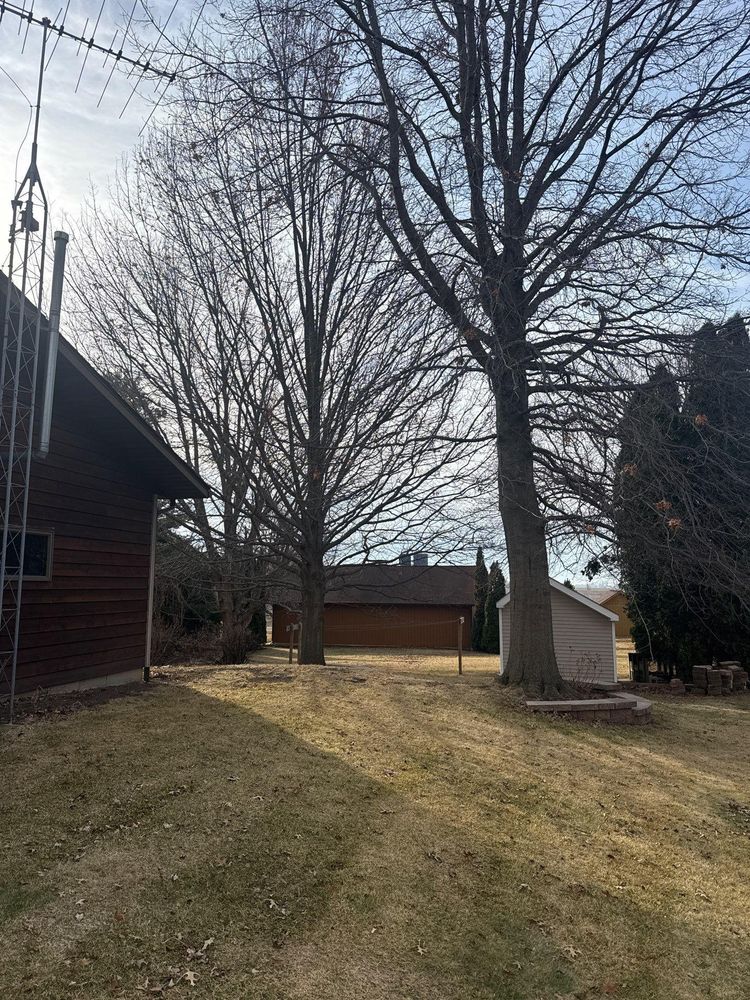 All Photos for Fransen's Tree Service  in Freeport, IL