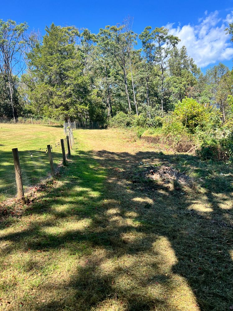 All Photos for Valencia’s Lawncare in Charlottesville, VA