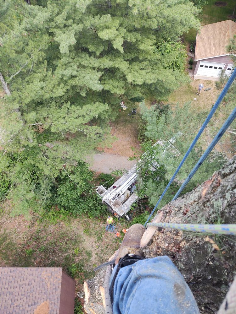 All Photos for Wenzels Tree Service LLC  in Bemidji, MN