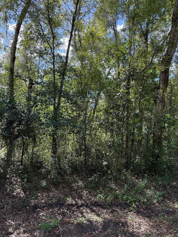 All Photos for J & E Land Clearing, LLC. in Dunnellon, FL