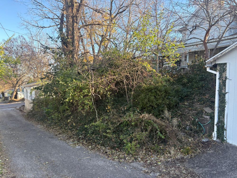 All Photos for Dig-It Tree Company in Mason, OH