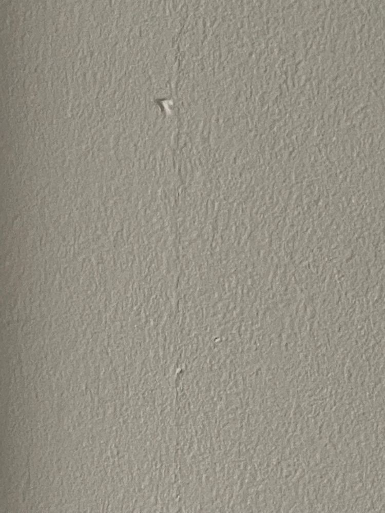 All Photos for Tony's Remodeling & Painting in Renton, WA