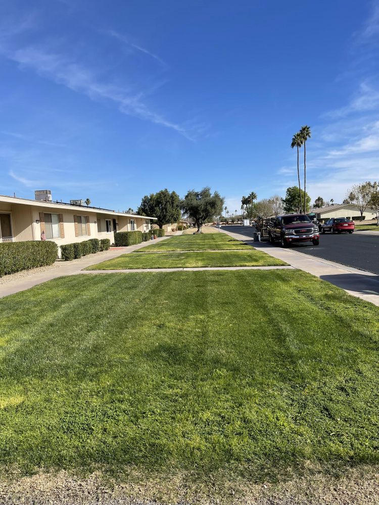 Commercial Lawn Maintenance for American Dream Landscape Company in Surprise, AZ