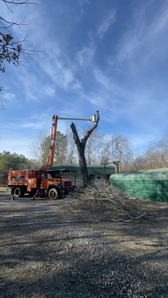 All Photos for Curtis Tree Service LLC in Hopkins County, KY