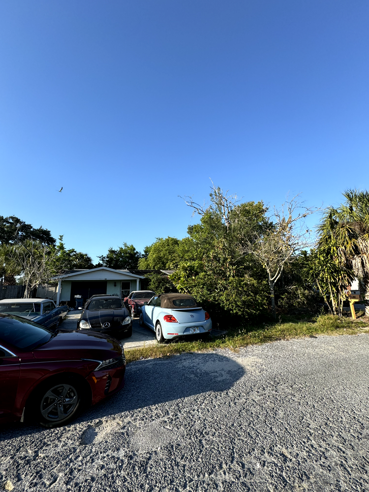 All Photos for Elevation Tree Service in Holiday, FL