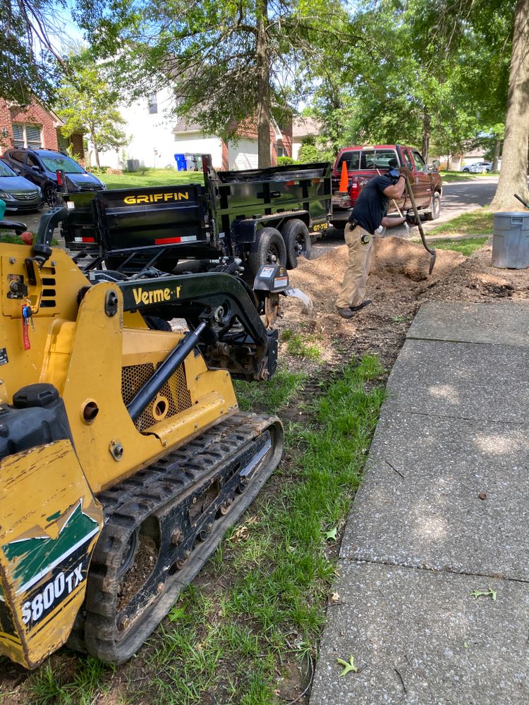 All Photos for Houtz Tree Service in Lexington, KY