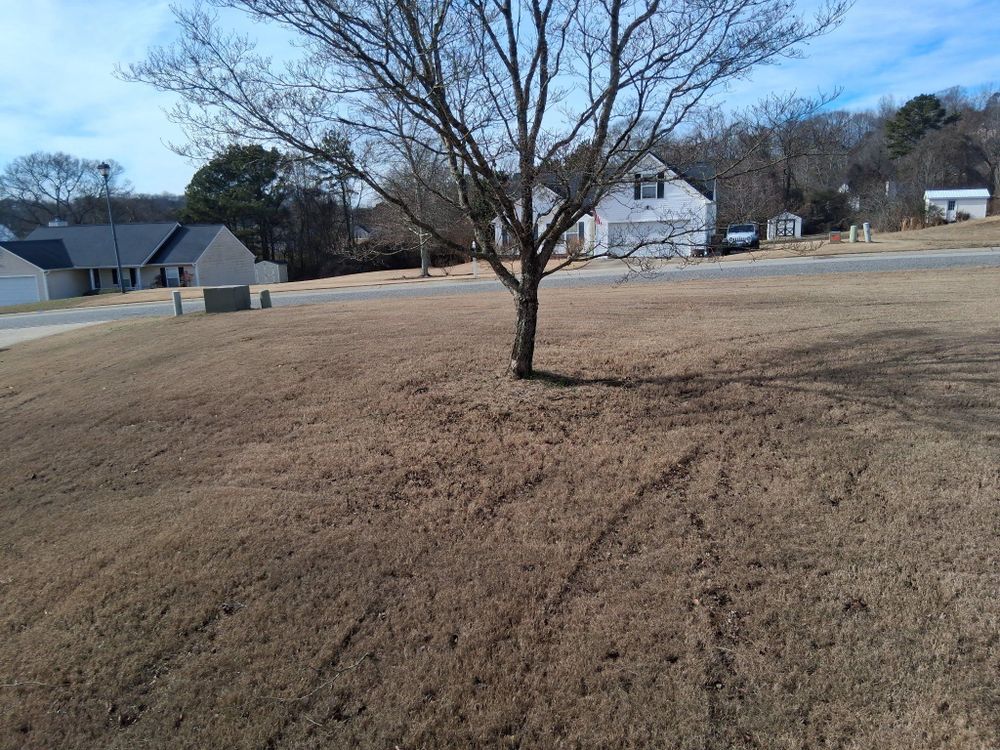 All Photos for GA Lawn Care Pros in Jefferson, GA
