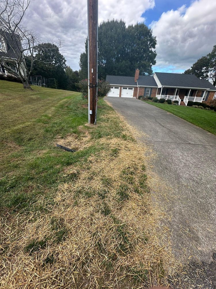 All Photos for Queen’s Landscaping in Kernersville, NC