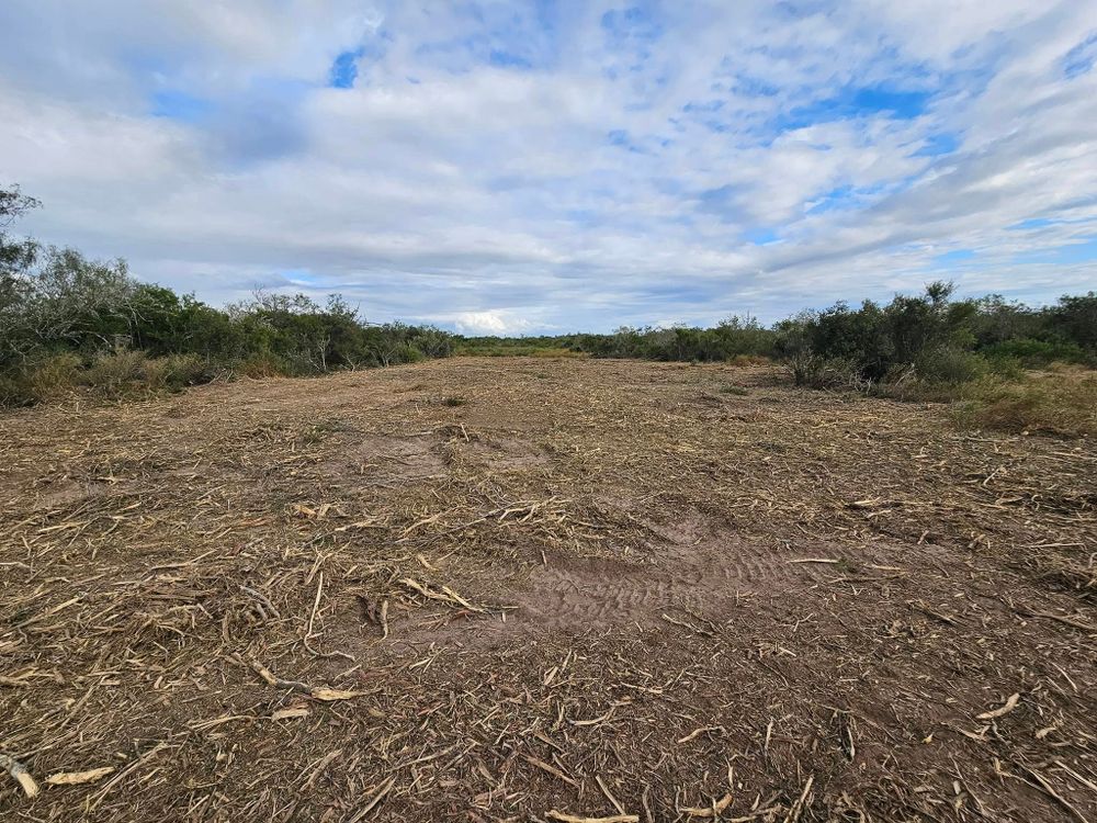 Land Clearing for Hernandez Land Clearing Services in Alice, TX