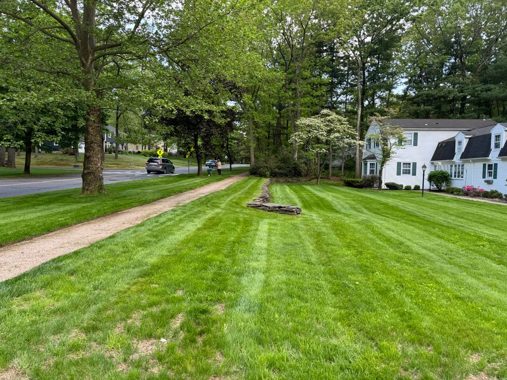 All Photos for Adams Landscaping in Springfield, MA