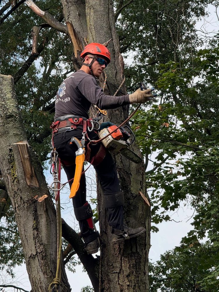 All Photos for Mark's Multiple Landscaping in Pittsburgh, PA