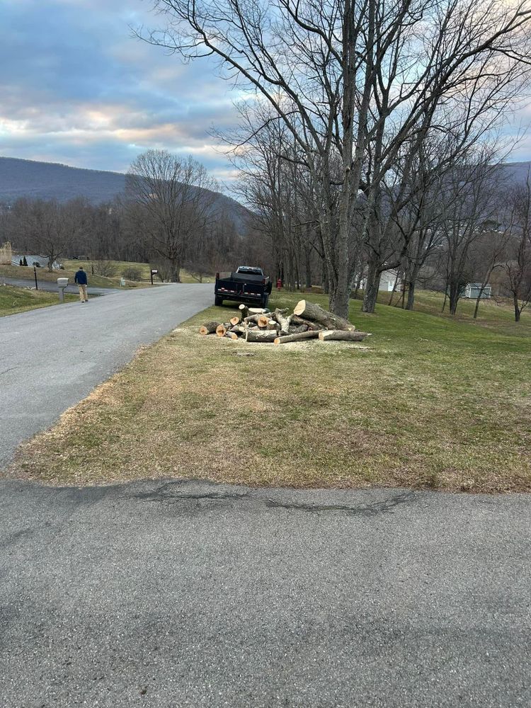 All Photos for NRV Tree Pro, LLC in Narrows, VA