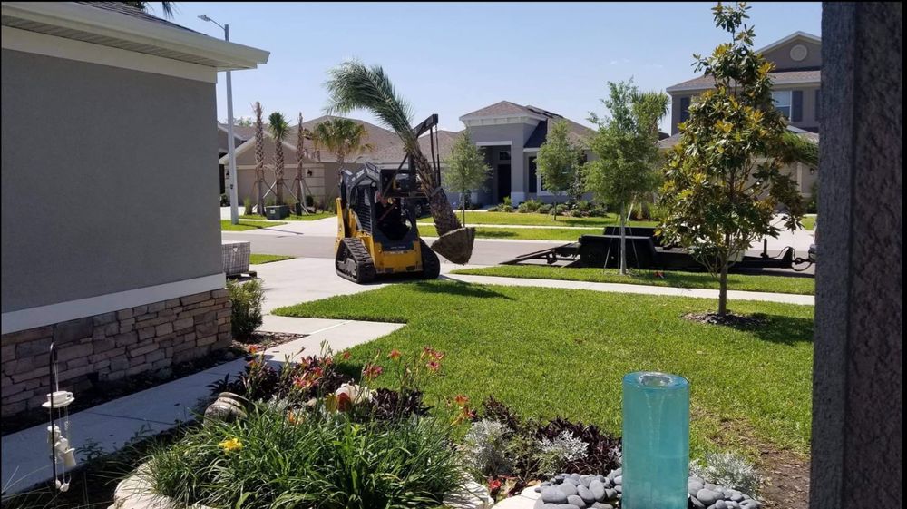 Landscaping for Tezna Landscaping, Trees & Pavers in Valrico, FL