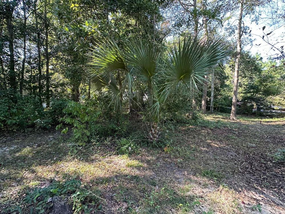 All Photos for White’s Land Maintenance in Milton,, FL