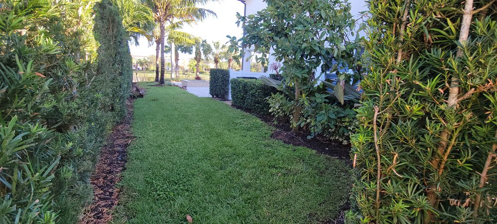 All Photos for L & J Palm Tree & Lawn Care Services in Jupiter, FL