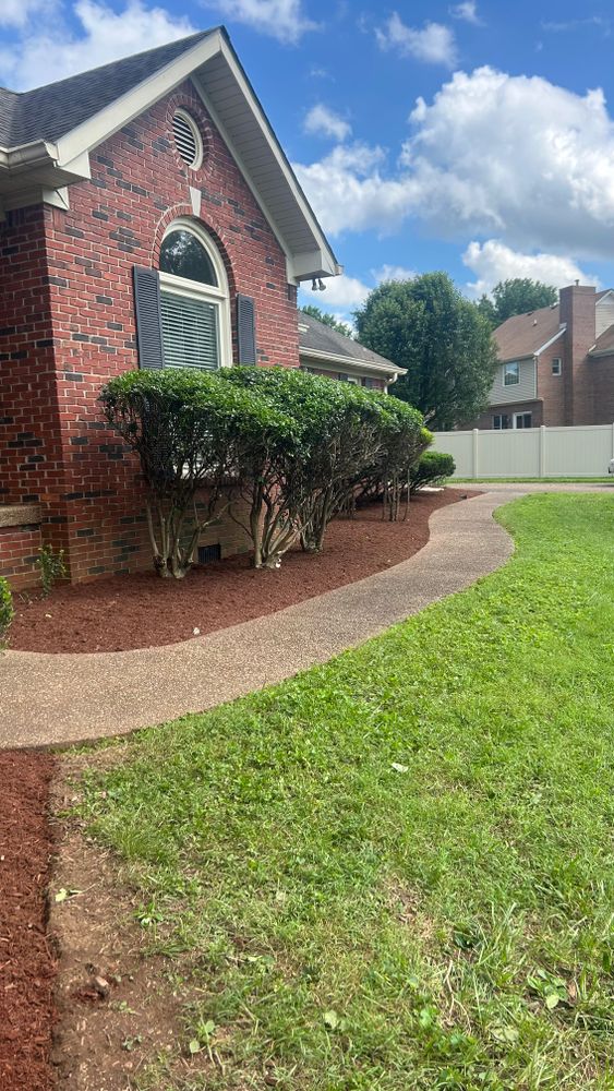 All Photos for Optimum Tree Service And Landscaping in Bowling Green, KY