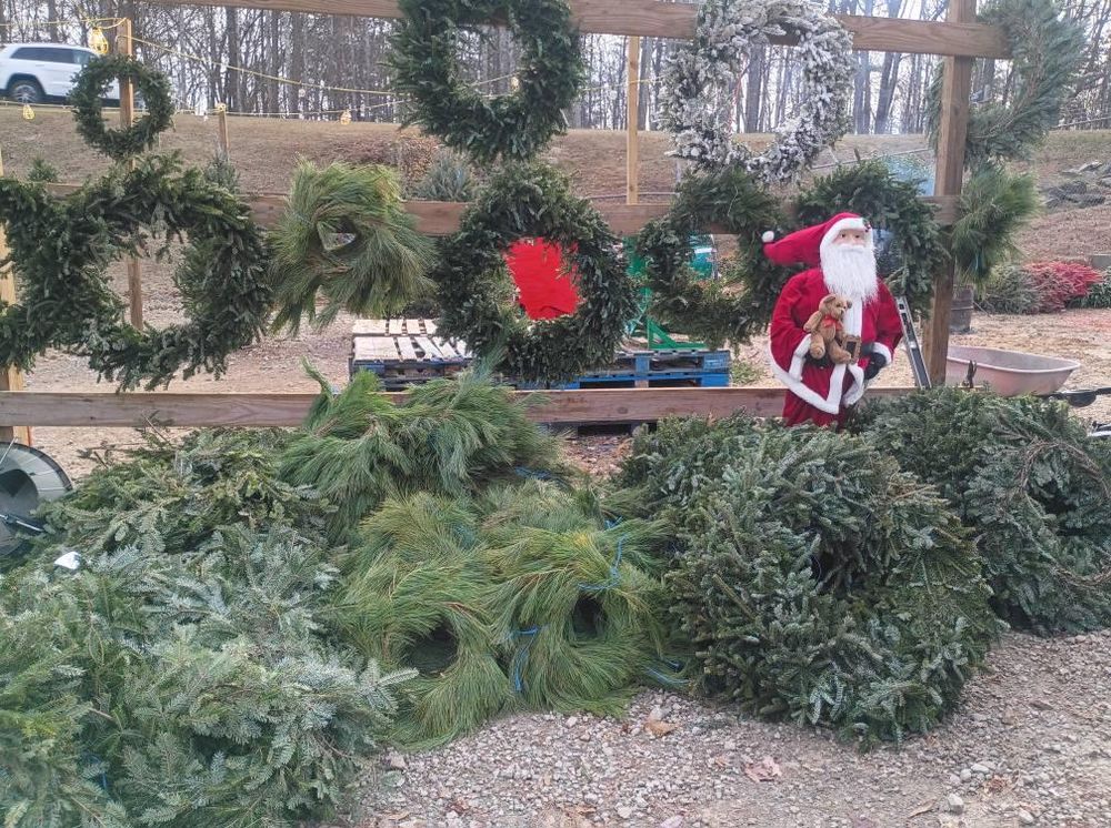 All Photos for BAM Another Pinestraw Lot in Flowery Branch, GA