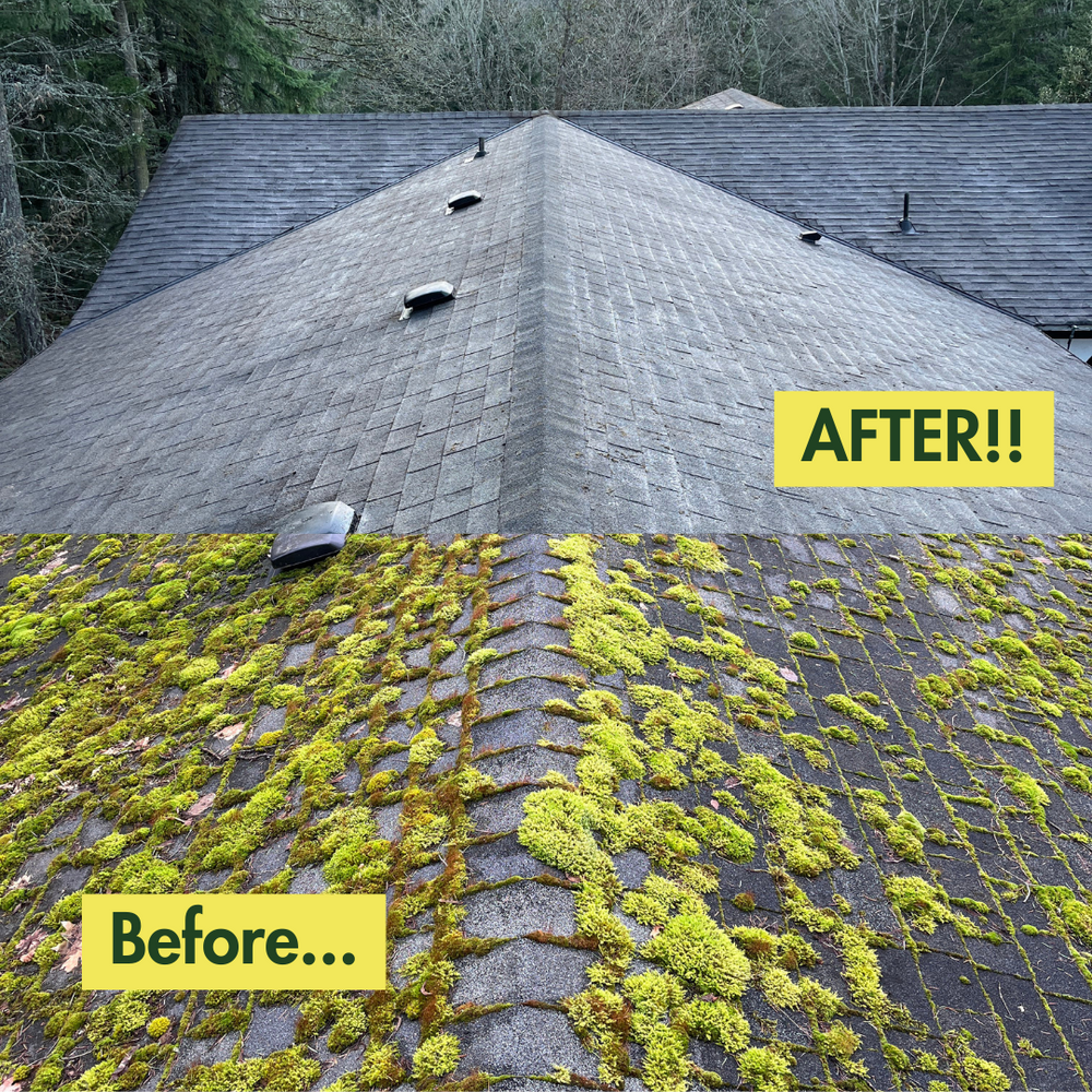 Before & After Photos for Swift Serve in Coeur d'Alene, ID