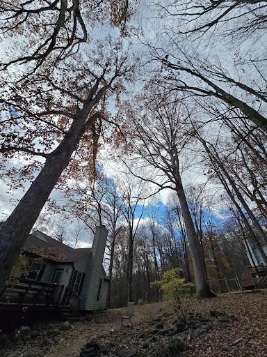 All Photos for M&L Lumber and Excavating in Jonesborough, TN