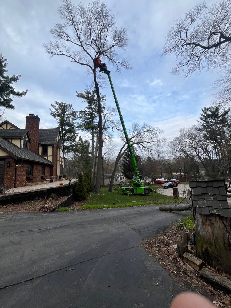 Our Tree Removal service efficiently eliminates unwanted trees from your property with professional expertise and care, enhancing safety and aesthetics while preserving the health of surrounding vegetation. for Tree-B-Gone in Shawano, WI