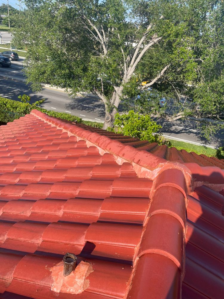 All Photos for AJ's Pressure Cleaning & Painting in Pembroke Pines, FL