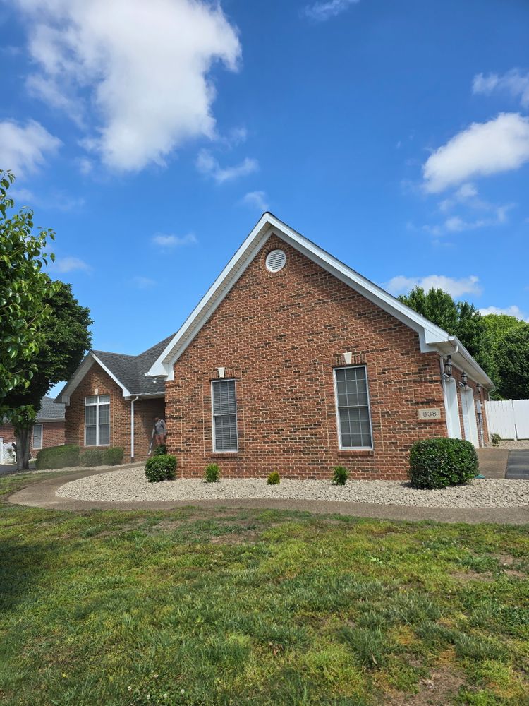 All Photos for Optimum Tree Service And Landscaping in Bowling Green, KY