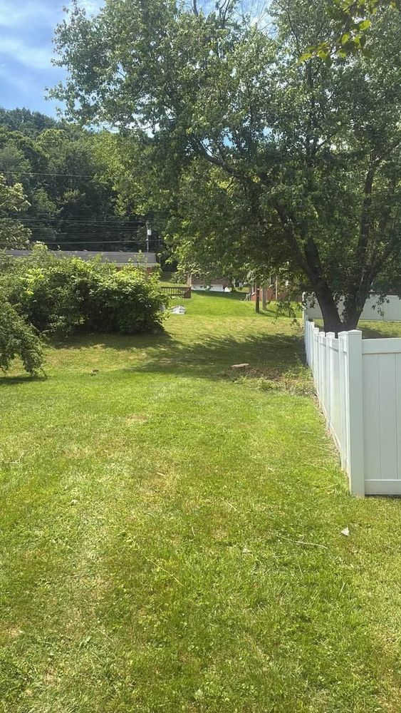 All Photos for Skys The Limit Tree Management in Morehead, KY