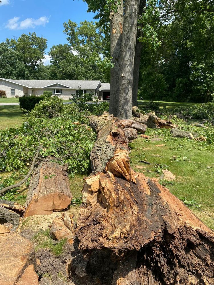 Emergency Storm Work for Highborn Tree Service in Wheatfield, IN