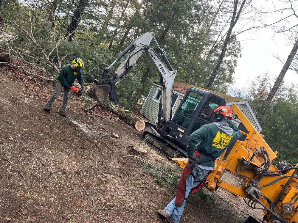 All Photos for Abair Tree Service in Weare, NH