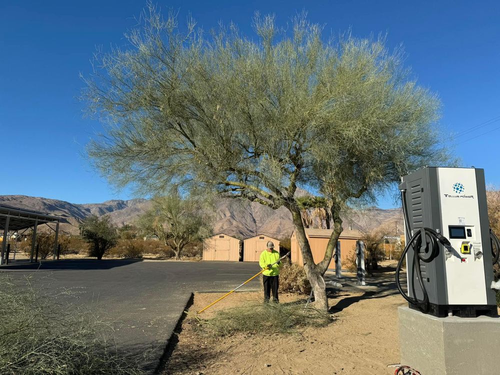 Property Clean Up for The Tree Fairy in Temecula, CA