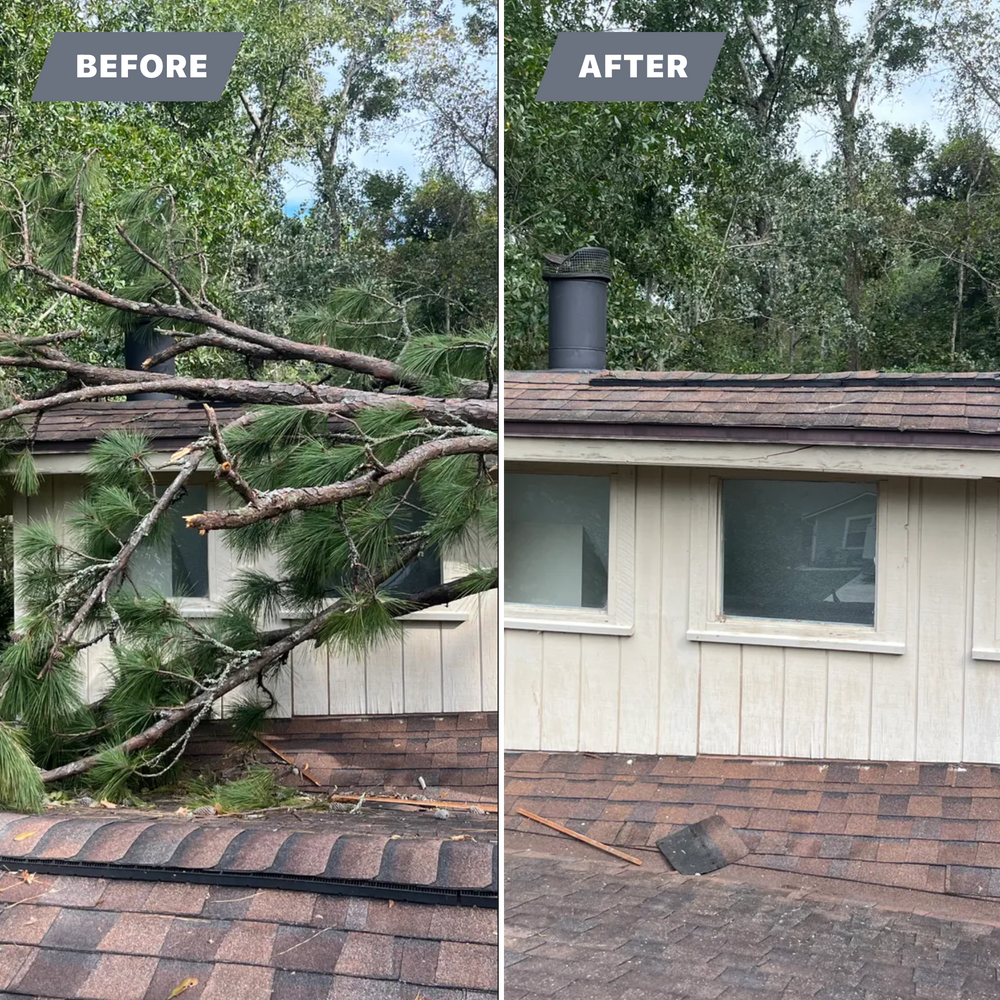 All Photos for Top Notch Tree Experts in Orange Park, FL