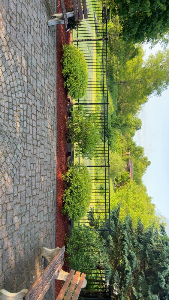 All Photos for Denicola’s Lawn Care in Oxbow,  NY