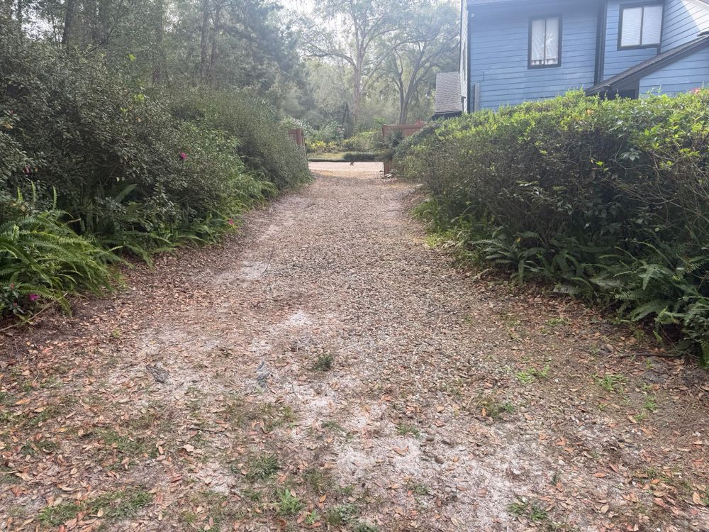 All Photos for Amerigrown Tree And Lawn in Apopka, FL