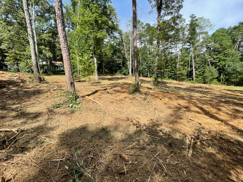 Land management  for Reed Construction Services LLC in Cartersville, GA