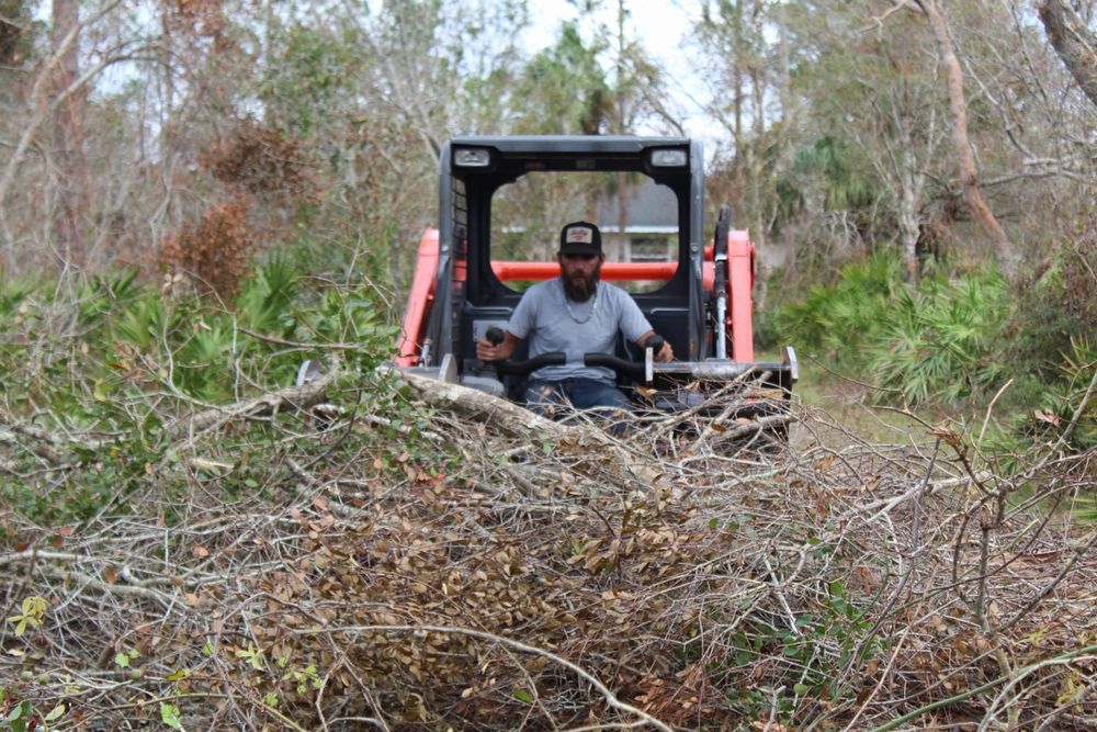 All Photos for American Tree Masters in Alvin, TX