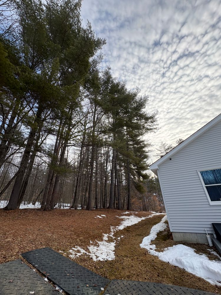 All Photos for Clifford’s Quality Tree Care & Landscaping in Enfield, NH