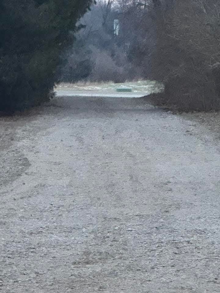 All Photos for D Hale Tree Service in Ann Arbor, MI