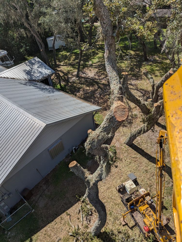 All Photos for Regal Tree Service and Stump Grinding in Wauchula, FL