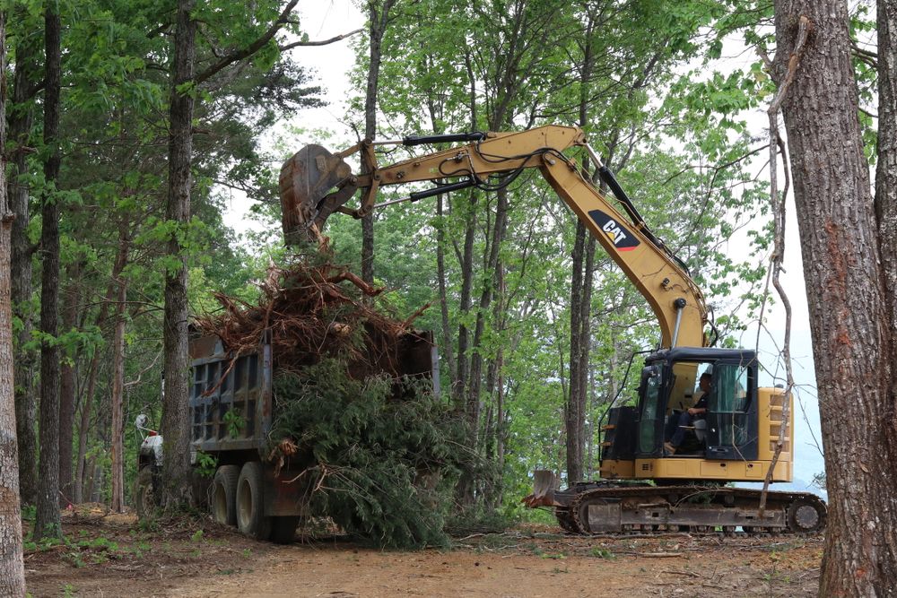 All Photos for McBryar Excavation in Trenton, GA